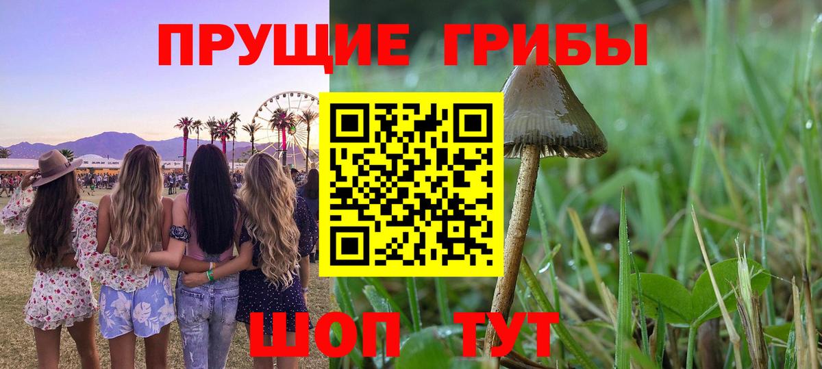Галлюциногенные грибы GOLDEN TEACHER Камышлов