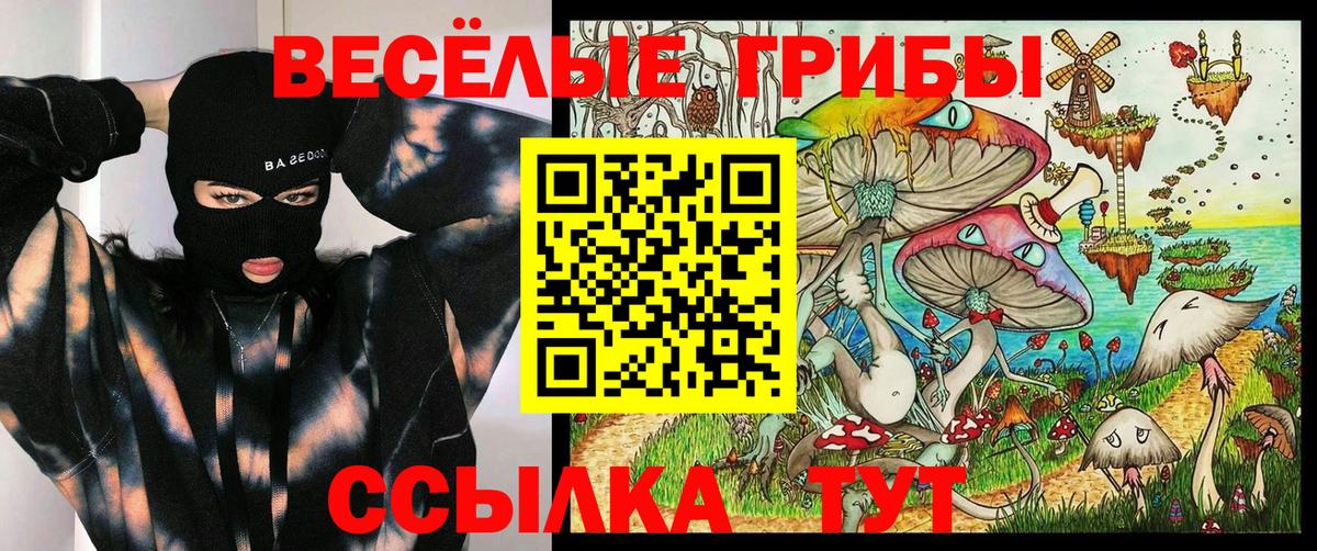 как найти закладки  Псилоцибиновые грибы прущие грибы  Вход с VPN  Камышлов 